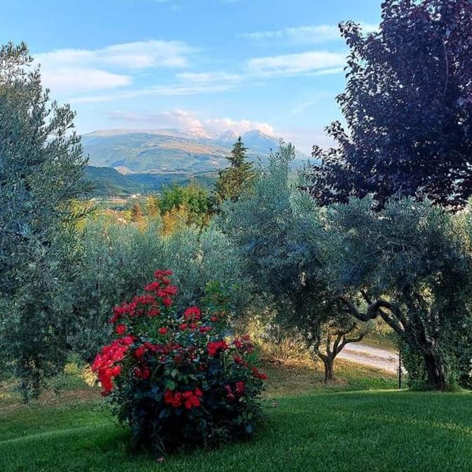 Bed and Breakfast Bed&Breakfast Le Coccinelle à Rosciano  Extérieur photo